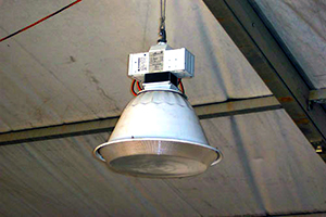 Large-Halogen-Light