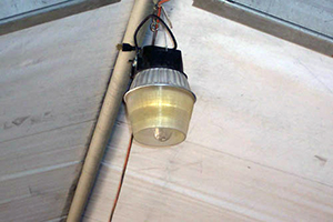 Small-Halogen-Light