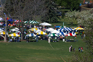 Frame Tents Denver City Park